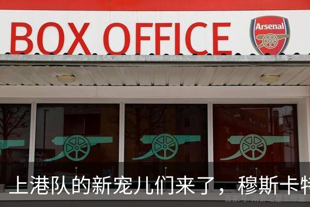 上港队的新宠儿们来了，穆斯卡特助力阵容大变身！